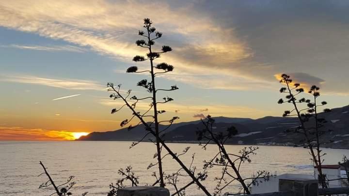 Vistas Al Mar Mediterraneo Melicena Ngoại thất bức ảnh